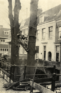 601053 Afbeelding van het vellen van een lindeboom op de Kromme Nieuwegracht te Utrecht.